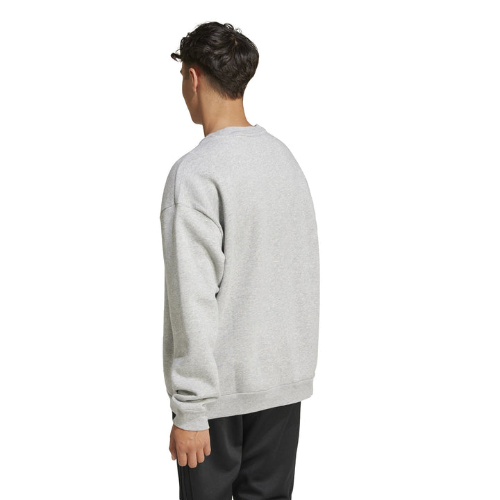 IX1320 | ADIDAS BL FL CRW Q3 | GREY Training SWEATSHIRT