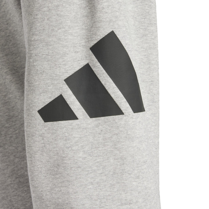 adidas-egypt-CLOTHING-Gym & Training-PANTS-MEN-GREY